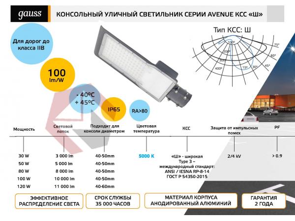 Светильник уличный Gauss Avenue  80W 5000K 8000lm  190-250V IP65 фото 2