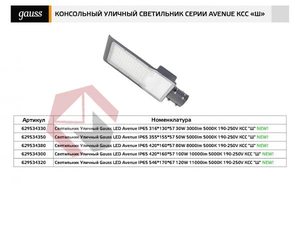 Светильник уличный Gauss Avenue  80W 5000K 8000lm  190-250V IP65 фото 3