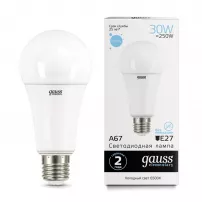 Лампа Gauss LED Elementary A67 30W E27 2390lm 6500K фото